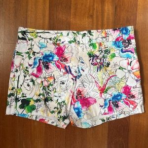 Cute Printed Shorts